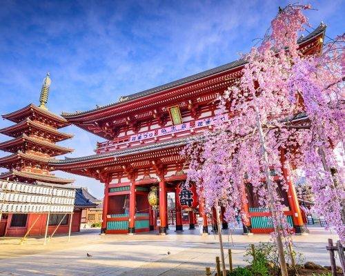 11/05 - Japão e Singapura - 11 dias - Pe. Adriano Zandoná e Orlando Júnior